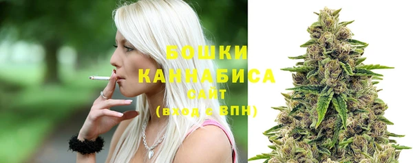 стаф Пестово