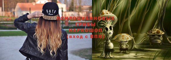 стаф Пестово