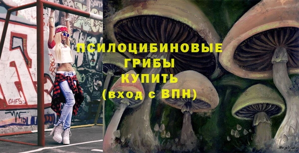 прущие крисы Пересвет