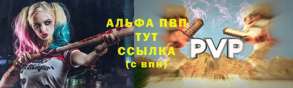 прущие крисы Пересвет