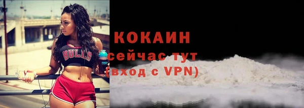 прущие крисы Пересвет