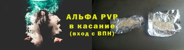 стаф Пестово
