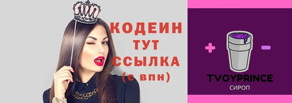 прущие крисы Пересвет