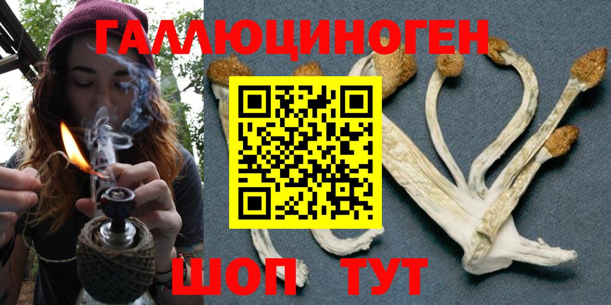 Псилоцибиновые грибы прущие грибы Волжск