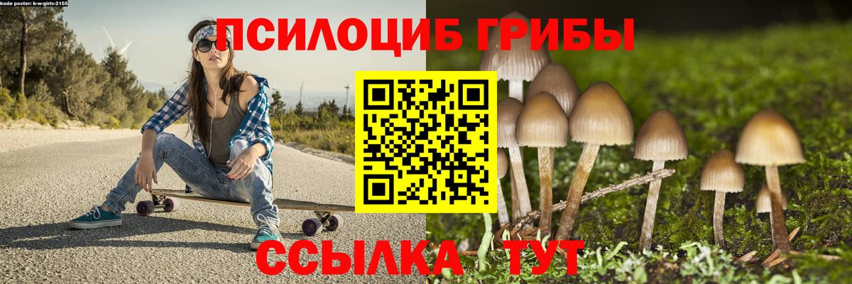 Псилоцибиновые грибы MAGIC MUSHROOMS  Псилоцибиновые грибы Psilocybe  Вход с VPN  Волжск 